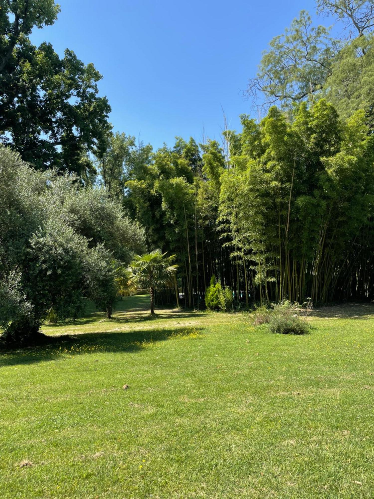La Rebiere D'Or, B&B Et Gite Mouleydier Exterior photo